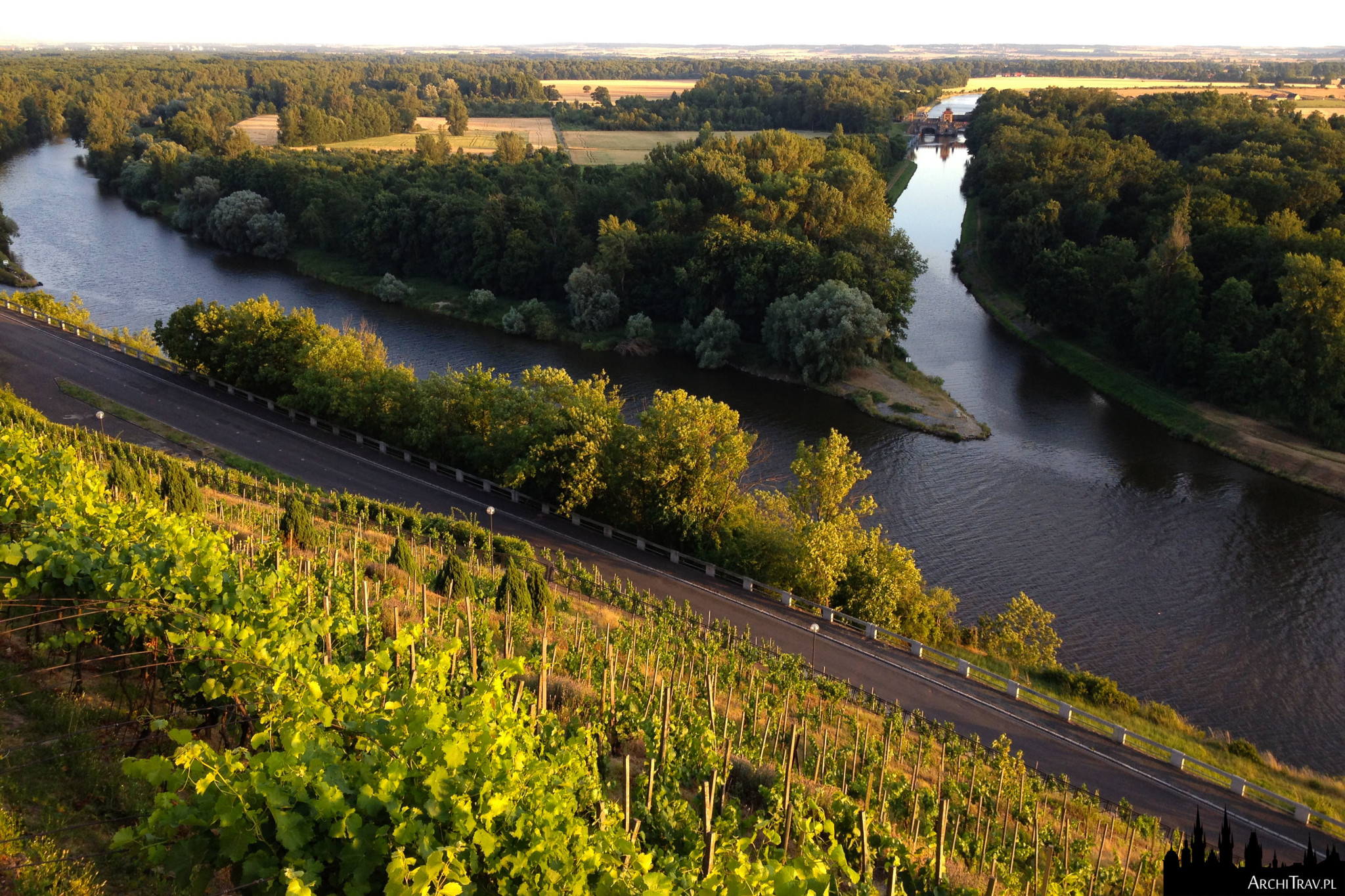 widok na połączenie dwóch rzek - Łaby i Wełtawy, malownicze zielone tereny z winnicami, Mielnik w Czechach