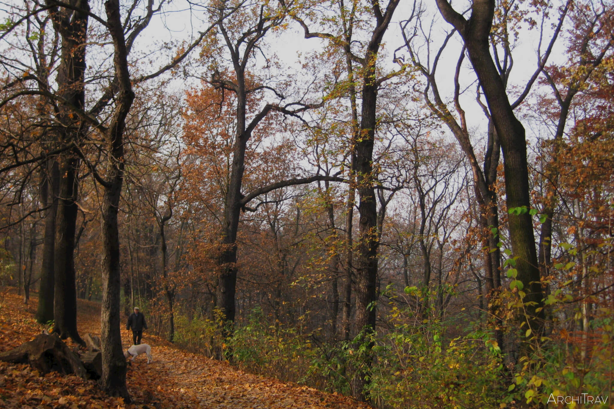 Park Stromovka jesien