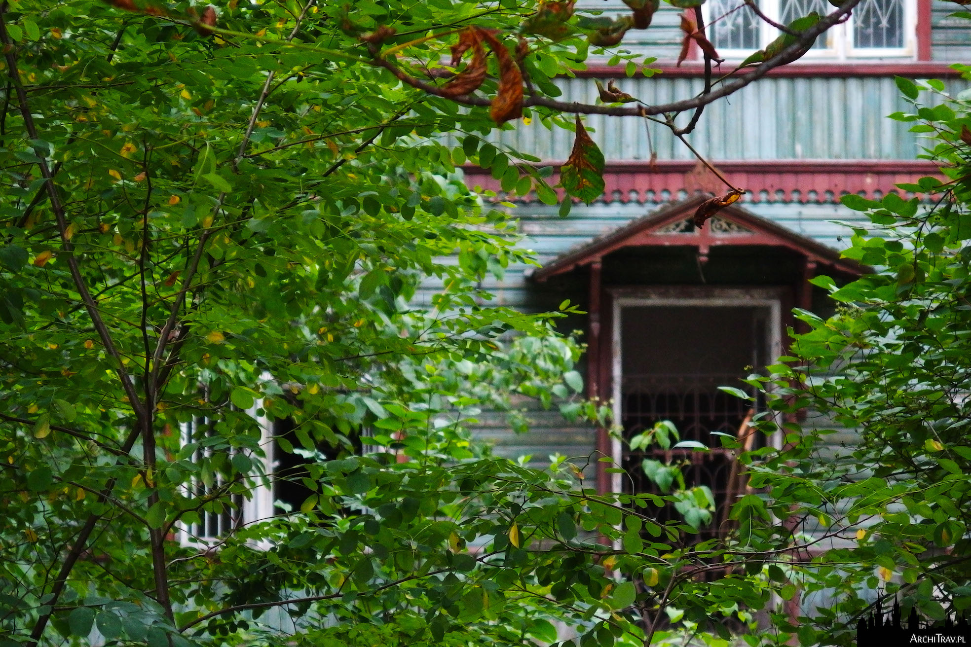 Willa Gurewiczanka w stylu świdermajer - widok na zieleń, a w oddali drewniany niebieski budynek z bordowymi elementami