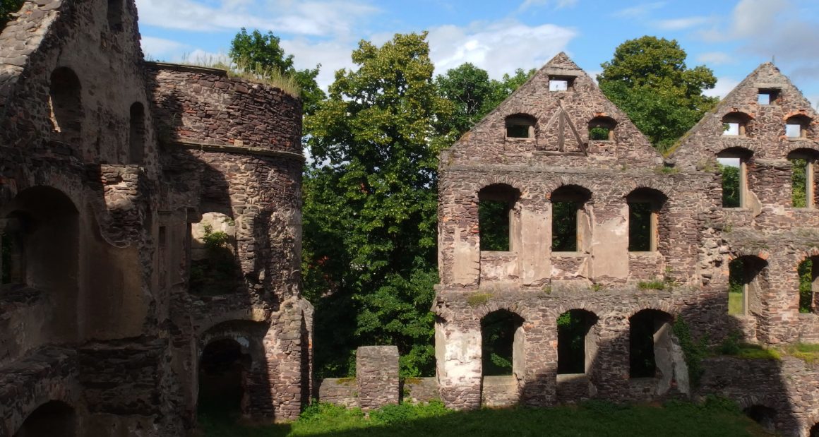 zamek świny